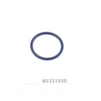 Dubex O-Ring für 250L Pumpe 80321920