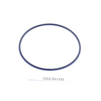 O-Ring 3x100 mm für Filtersieb F700 O0230100