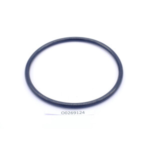 O-Ring Ø6,99 X 124,6 mm für Filter F700 O0269124